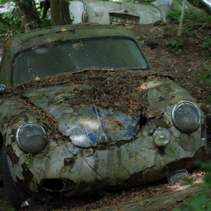 Autoskulpturenpark