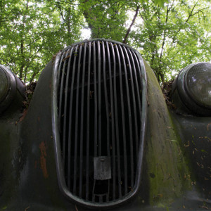 Autoskulpturenpark