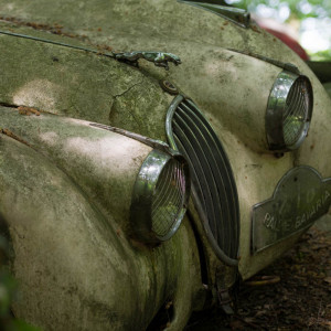 Autoskulpturenpark