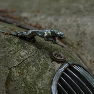 Autoskulpturenpark