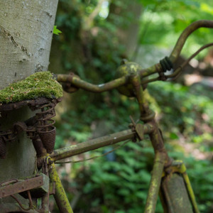 Autoskulpturenpark