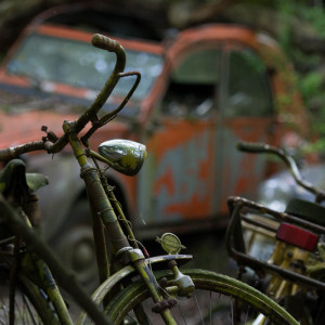 Autoskulpturenpark
