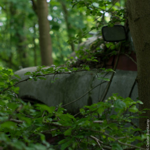 Autoskulpturenpark