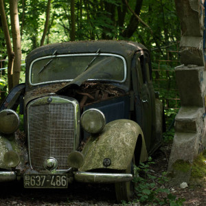 Autoskulpturenpark