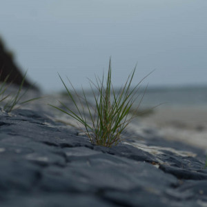 Spiekeroog